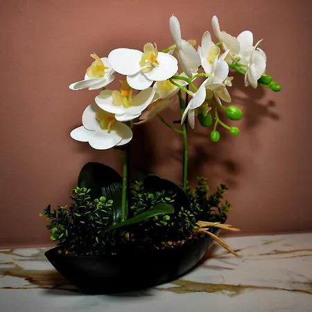 Campineanu 22 - Old Town Lägenhet *