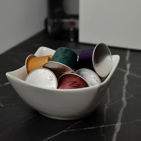 Apartament Campineanu 22 - Old Town