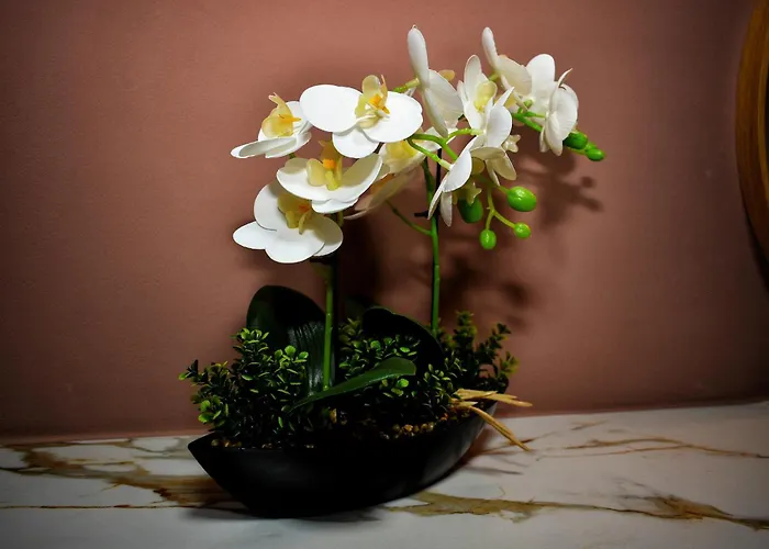 Campineanu 22 - Old Town Lejlighed *